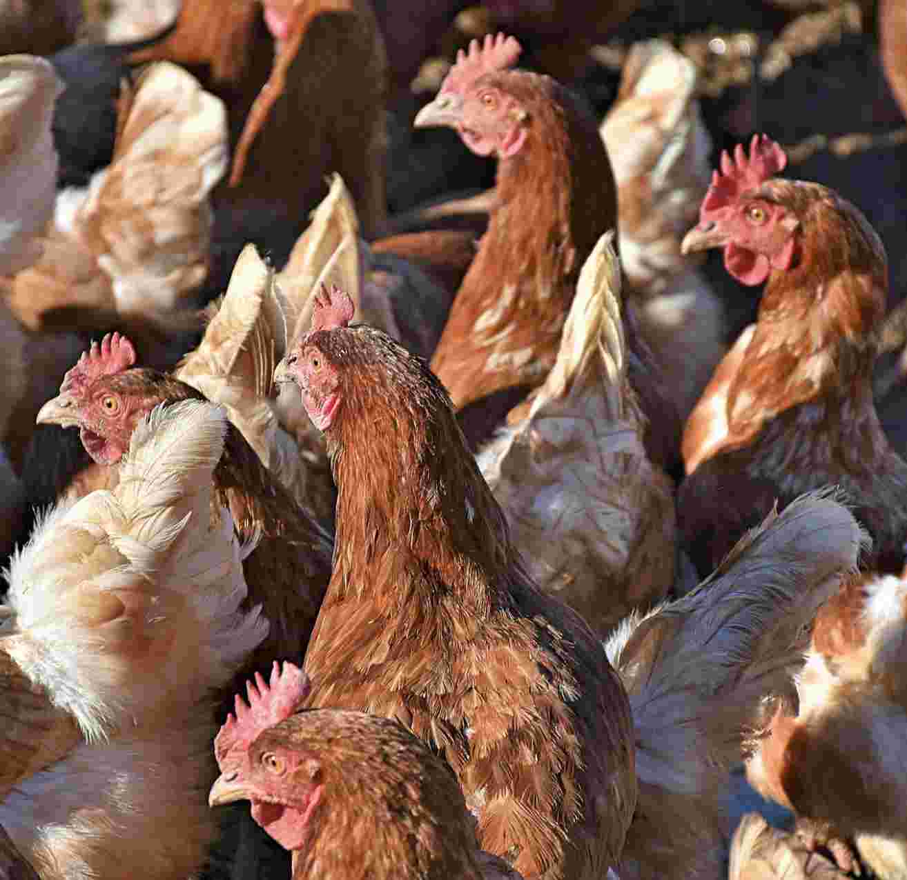 waarvoor mag je een garagebox niet gebruiken